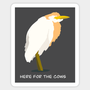 Here for the Cows - Cattle Egret Bird Humour Design Sticker